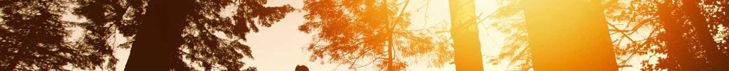 Holzworth_SMSF